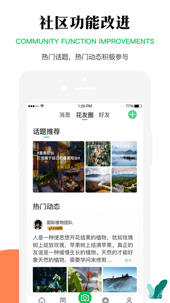 苗木之家