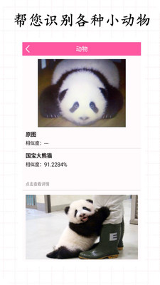 拍照识物 安卓版v3.2.3
