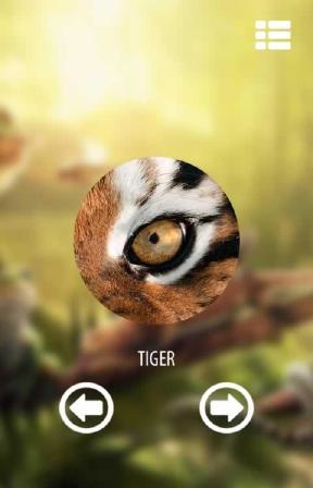 Vision animal simulator(动物视觉模拟软件app下载)