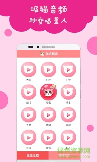 猫语翻译 猫语翻译