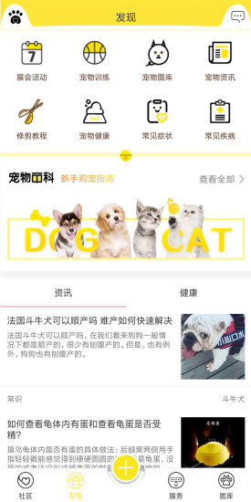 掌心宠物