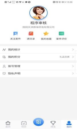国网保险