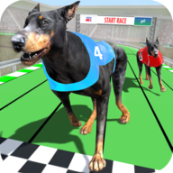 赛狗锦标赛DogRacing
