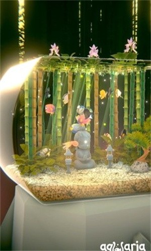 aqualia安装器