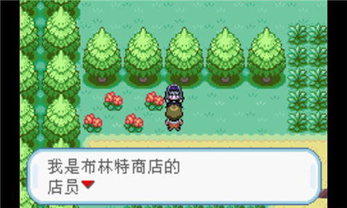 口袋妖怪 火红802 2.1汉化版