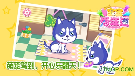宝宝爱汪汪