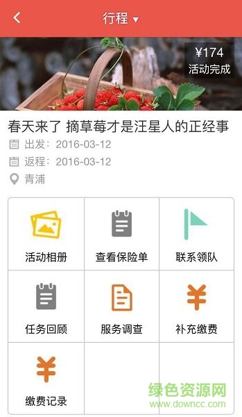 玩小伴宠物
