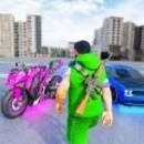 印度驾驶世界安卓版