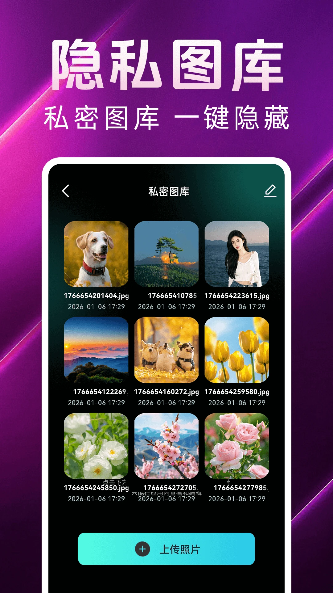 私密高清播放器