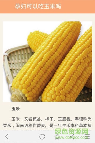 孕妇饮食