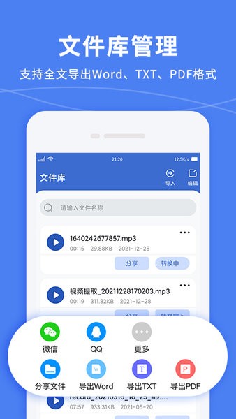 语音转文字精准专家