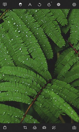 泼辣修图免费版2022 泼辣修图免费版2022