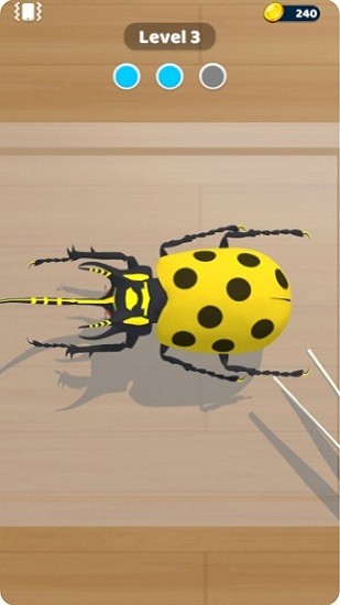 动物标本官方版