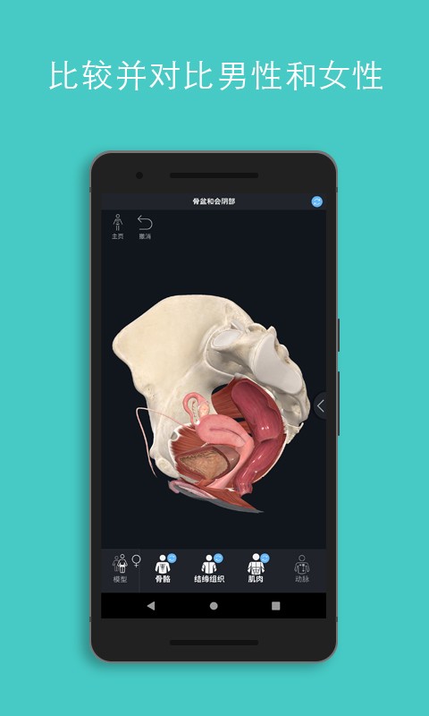Complete Anatomy 2022(解剖教学平台)