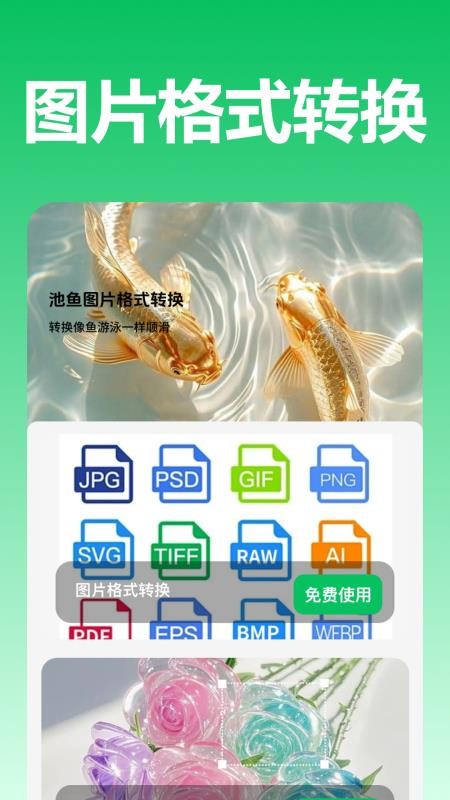 池鱼图片格式转换