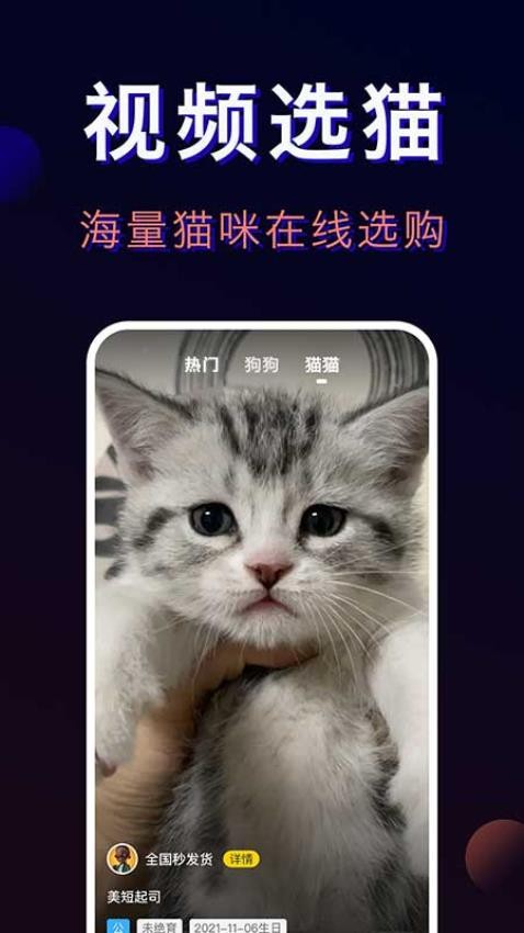 宠物宝-一站式宠物服务平台