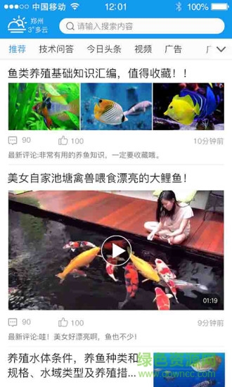 渔豆豆水产