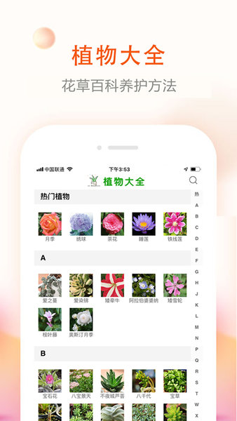 识花草