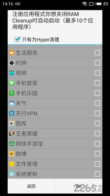 ramcleanup专业版