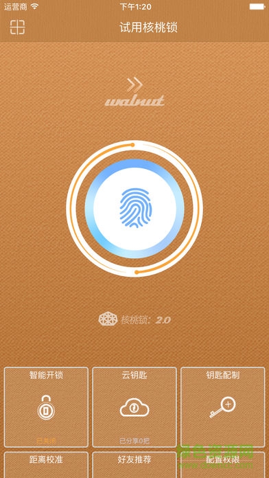 核桃
