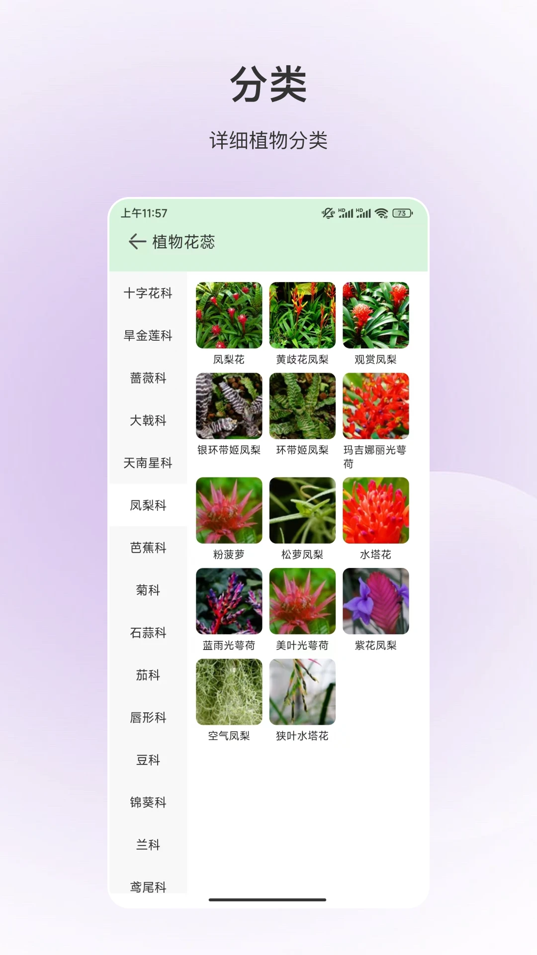百科全书