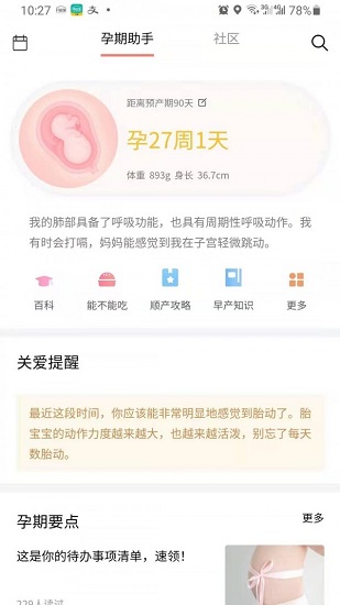 蝶窝孕育