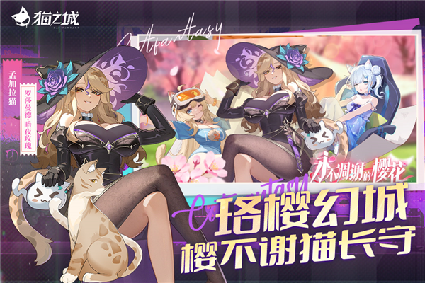 猫之城