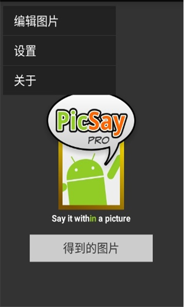 PicSayFull 专业版