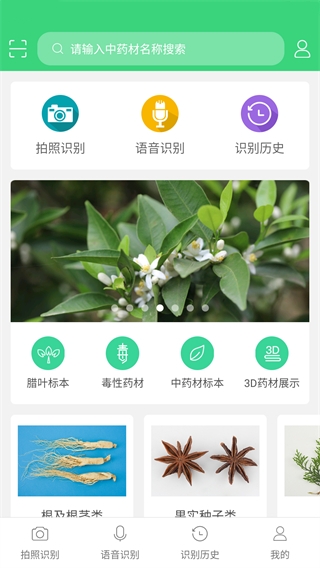 照药镜