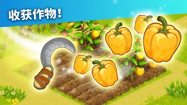 家庭岛中文版