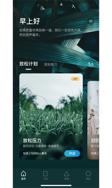 看见冥想