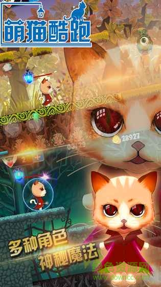 萌猫酷跑