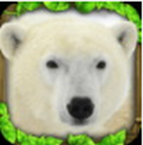 北极熊模拟器