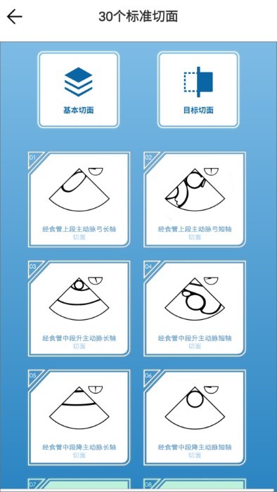 维思模 TEE APP