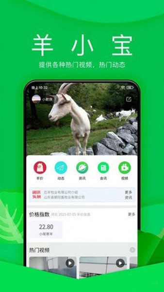 羊小宝 最新版v1.0.5