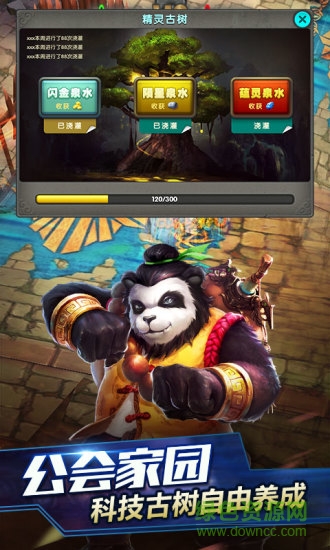 太极熊猫