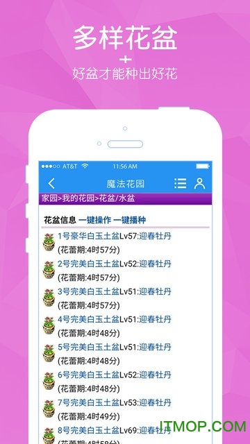 3344影视