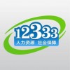 掌上12333