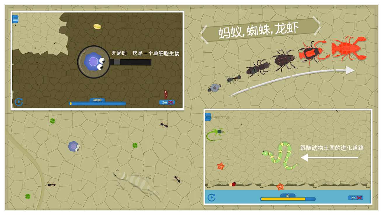 动物进化奔跑赛