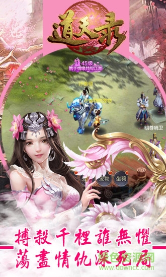 道天录满V版