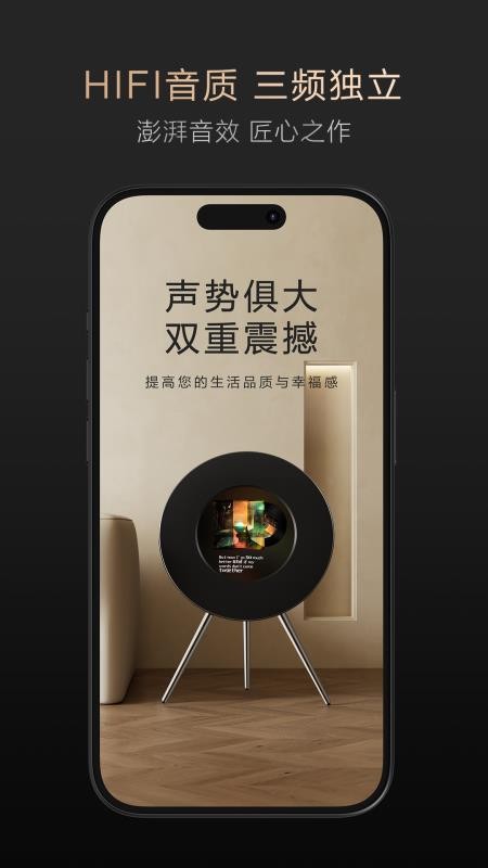 艺术大师ART MASTER