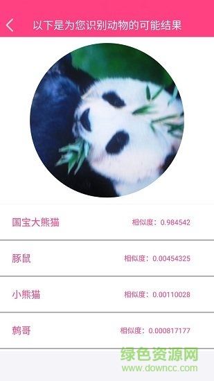 拍照识物