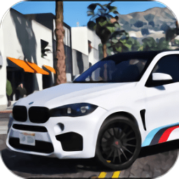 Drive X6 BMW