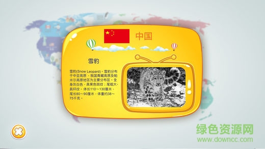 大眼探世界