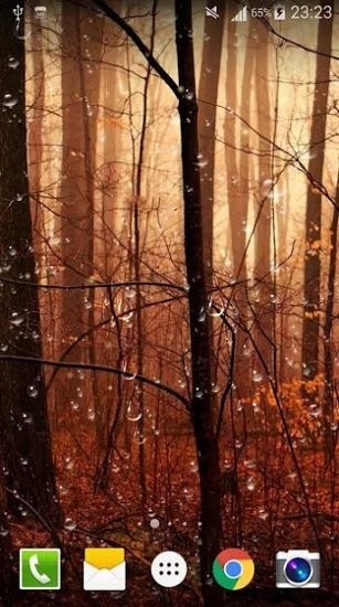 Fireflies Droplets Live Wallpaper