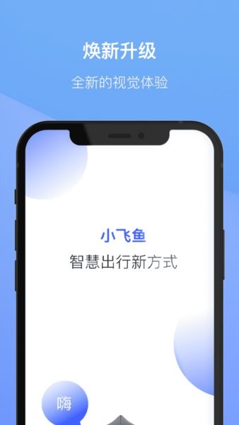 小飞鱼