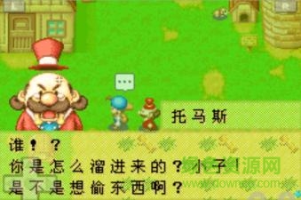 牧场物语矿石镇的伙伴们