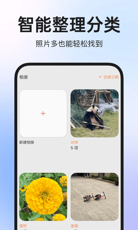 图公主