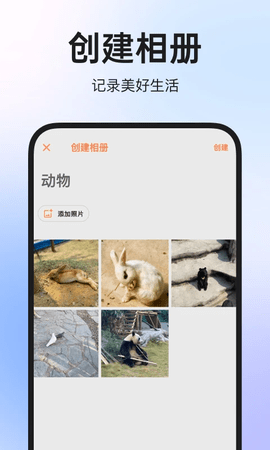 图公主