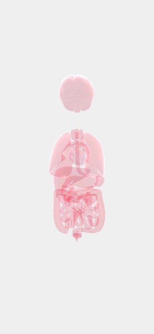 life生命模拟器游戏